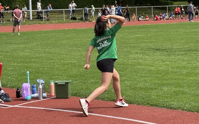 Img 1219